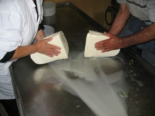 scuola di formaggio-34.JPG